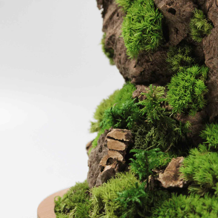 Cloche
