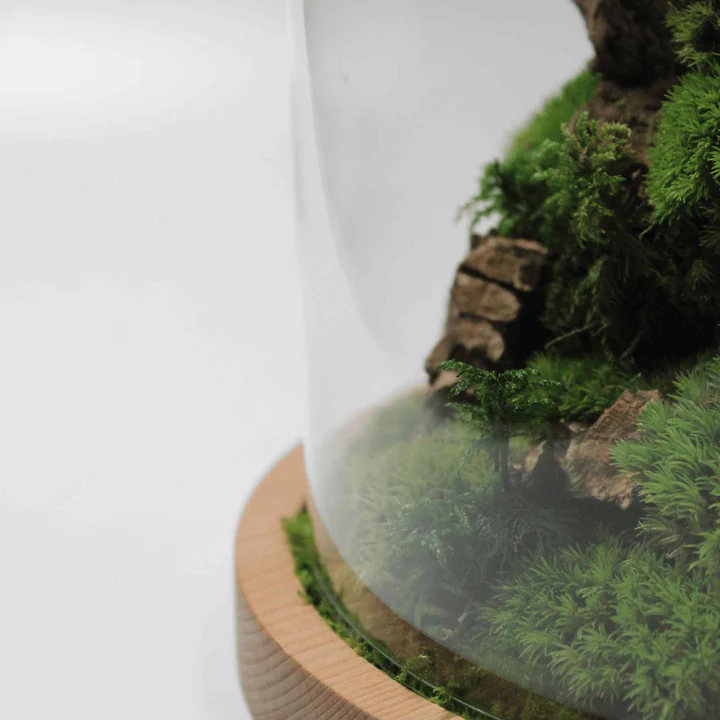 Cloche