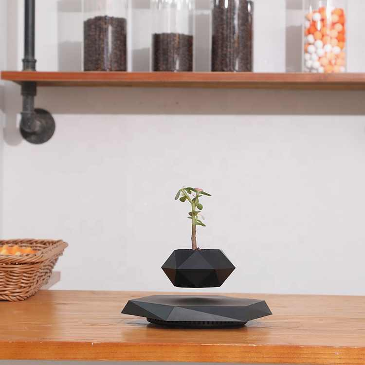 Magnetic Levitating Indoor Flower Pot