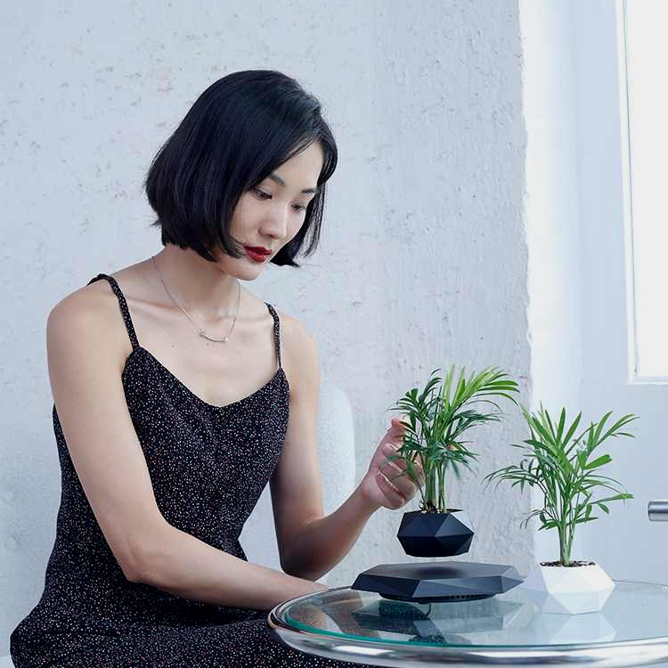 Magnetic Levitating Indoor Flower Pot
