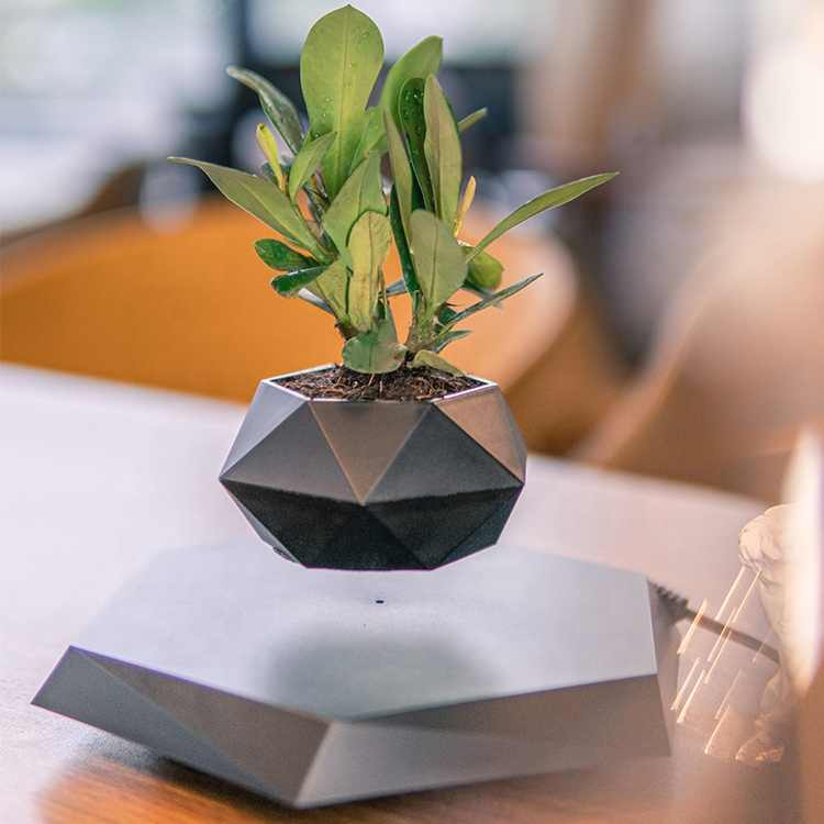 Magnetic Levitating Indoor Flower Pot