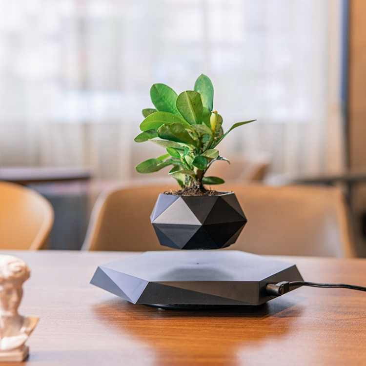Magnetic Levitating Indoor Flower Pot