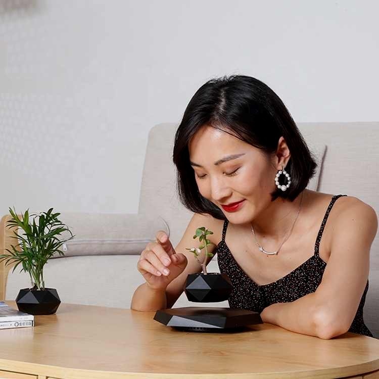 Magnetic Levitating Indoor Flower Pot