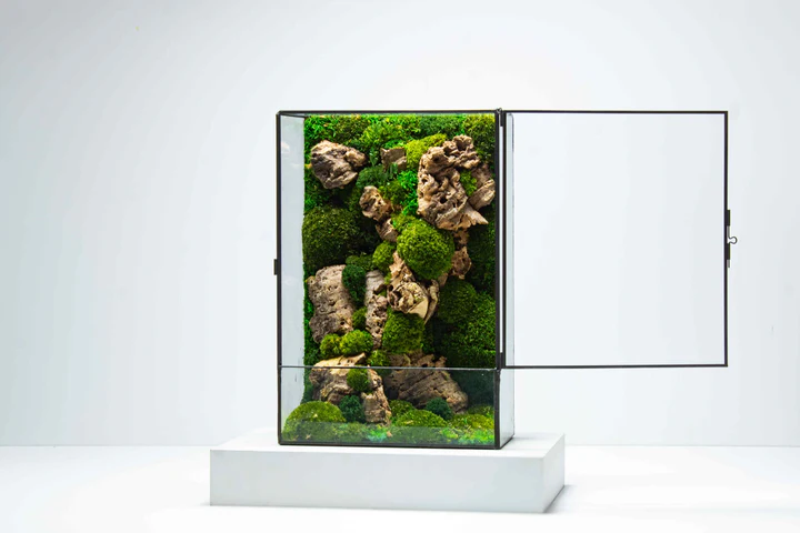 Moss Box