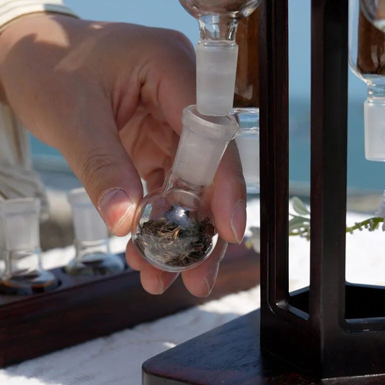 Pentafusor Cigar Flavor Infuser Humidor Infuser
