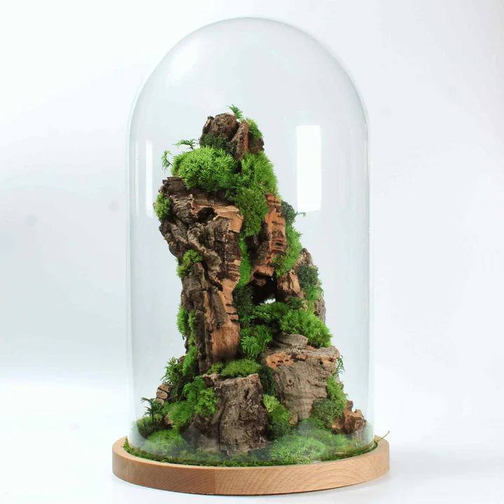 Cloche