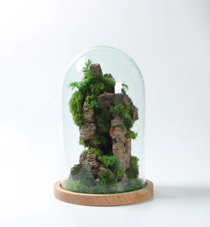 Cloche