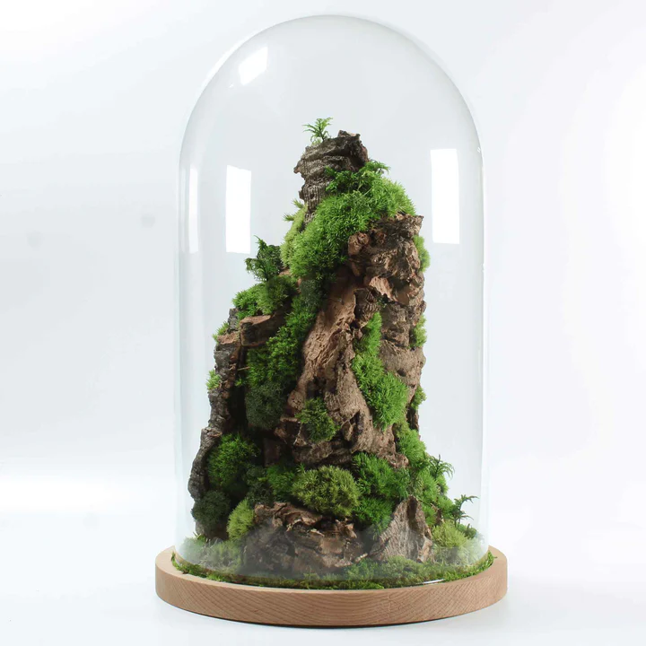 Cloche