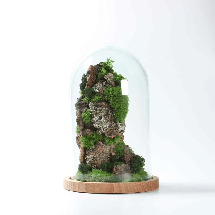 Cloche