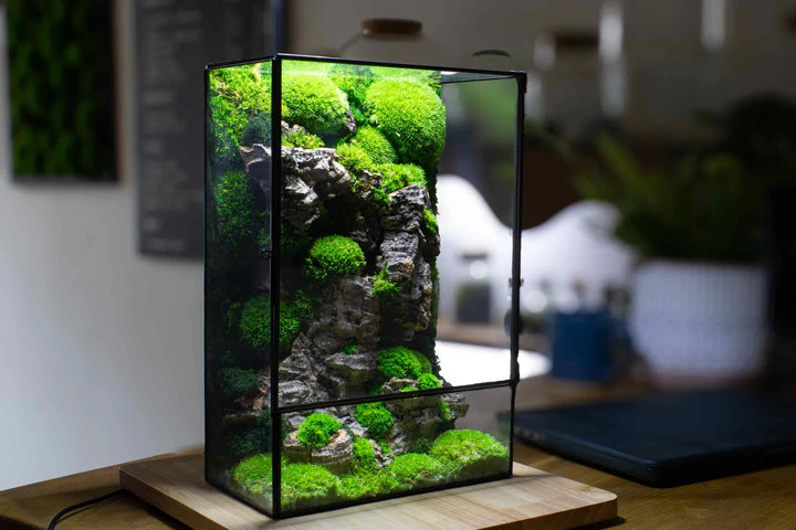 Moss Box