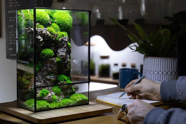 Moss Box