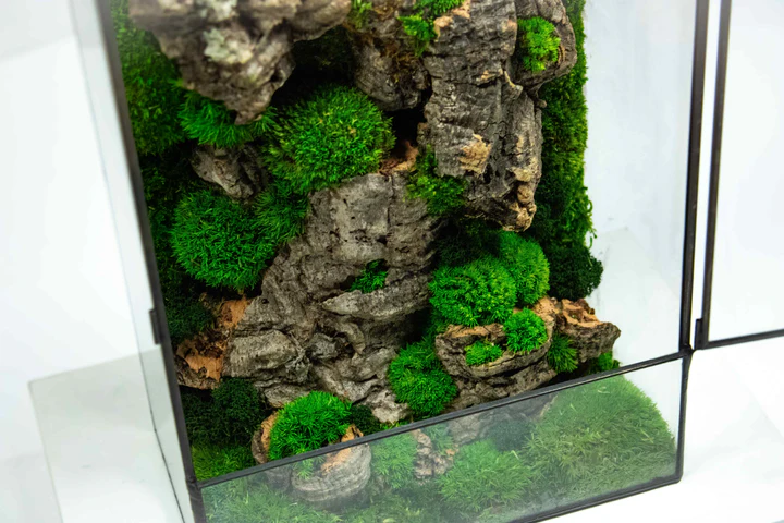 Moss Box
