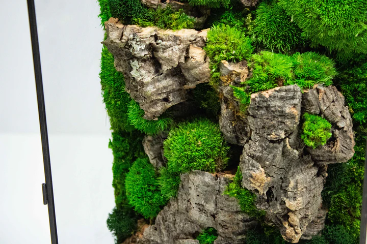 Moss Box