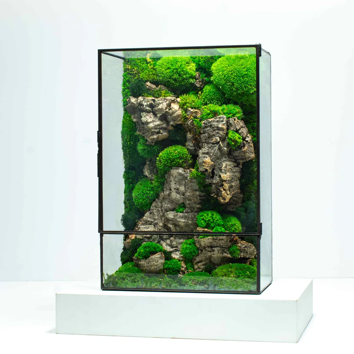 Moss Box