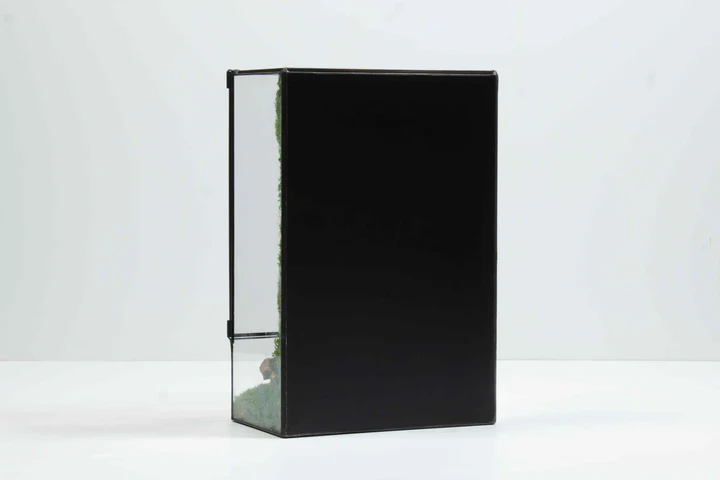 Moss Box V2