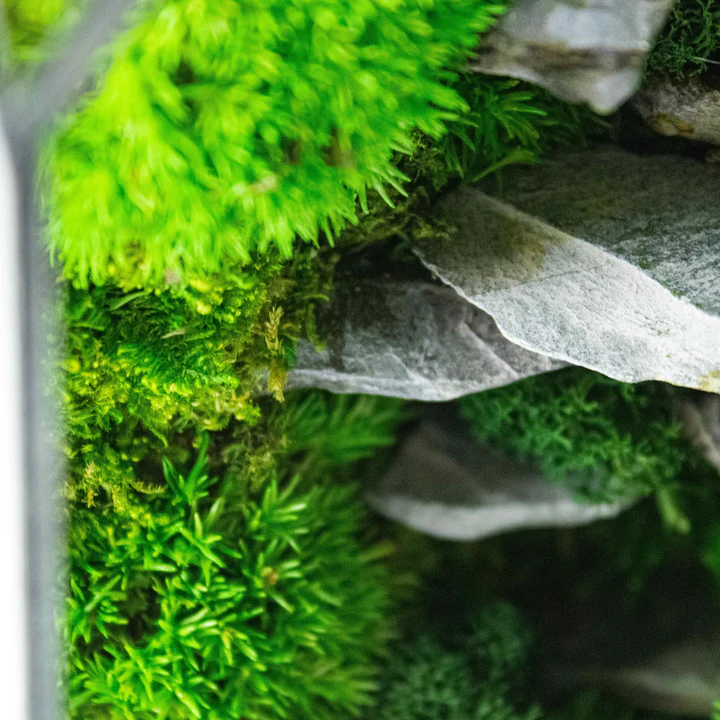 Stone Prism